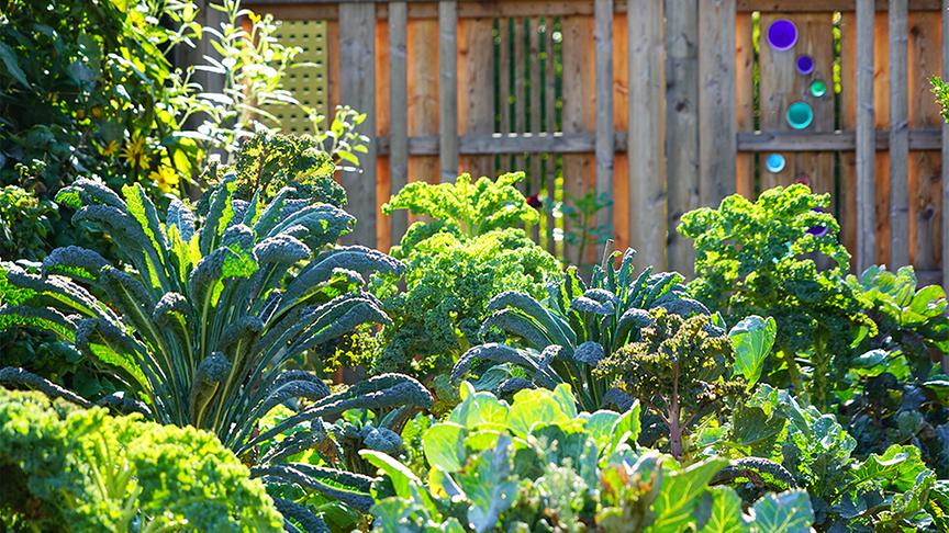 © Natur im Garten/ Leopold Mayrhofer Zu Besuch im Garten von Elisabeth Wegert