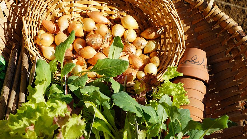 © Natur im Garten/ Leopold Mayrhofer Zu Besuch im Garten von Elisabeth Wegert