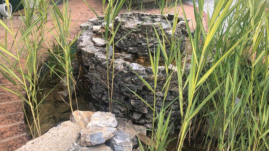 Zu Besuch bei Familie Sterbenz.