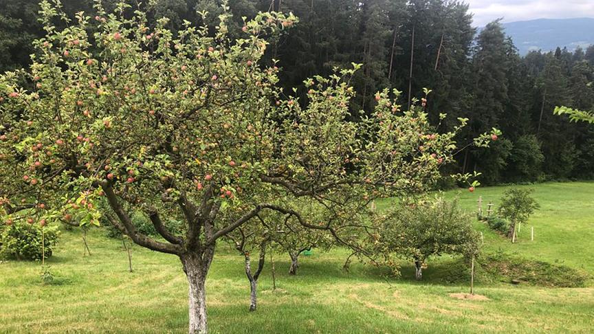 Zu Besuch bei Familie Sterbenz.