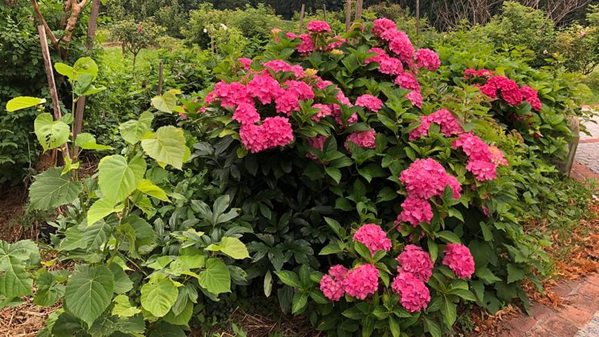 Zu Besuch bei Familie Sterbenz.