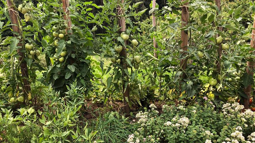 Zu Besuch bei Familie Sterbenz.