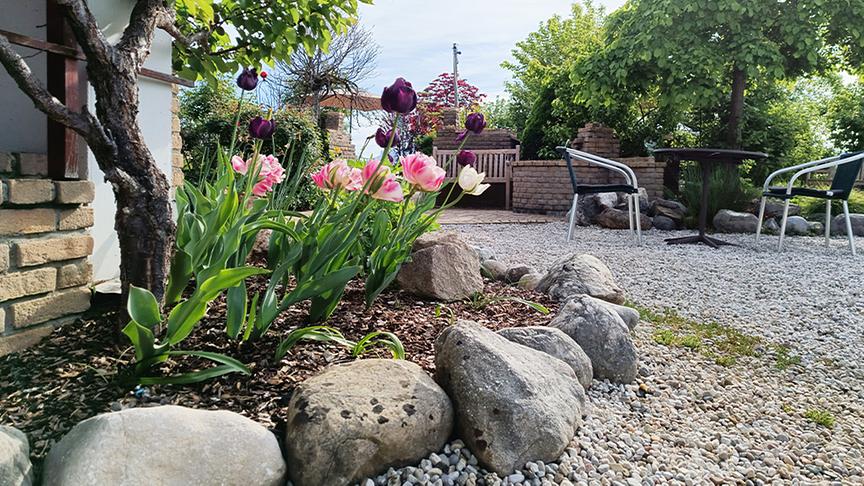 © Natur im Garten/ Leopold Mayrhofer Zu Gast im Dachterrassengarten von Petra Schilcher in Wals
