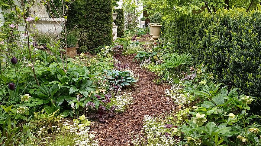© Natur im Garten/ Leopold Mayrhofer Zu Besuch im Garten von Gabi Muhr