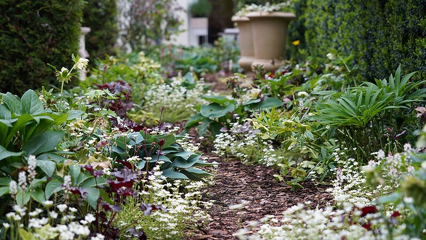 © Natur im Garten/ Leopold Mayrhofer Zu Besuch im Garten von Gabi Muhr