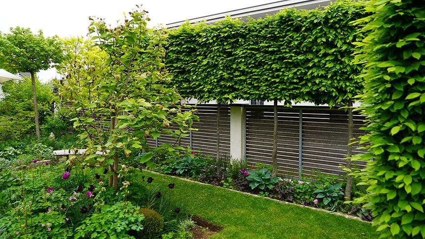 © Natur im Garten/ Leopold Mayrhofer Zu Besuch im Garten von Gabi Muhr