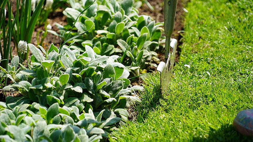 Im Garten von Gerda Schättle