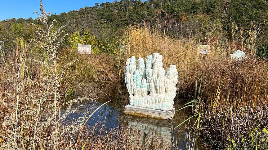 Der Schaugarten des Gut Guntrams in Niederösterreich