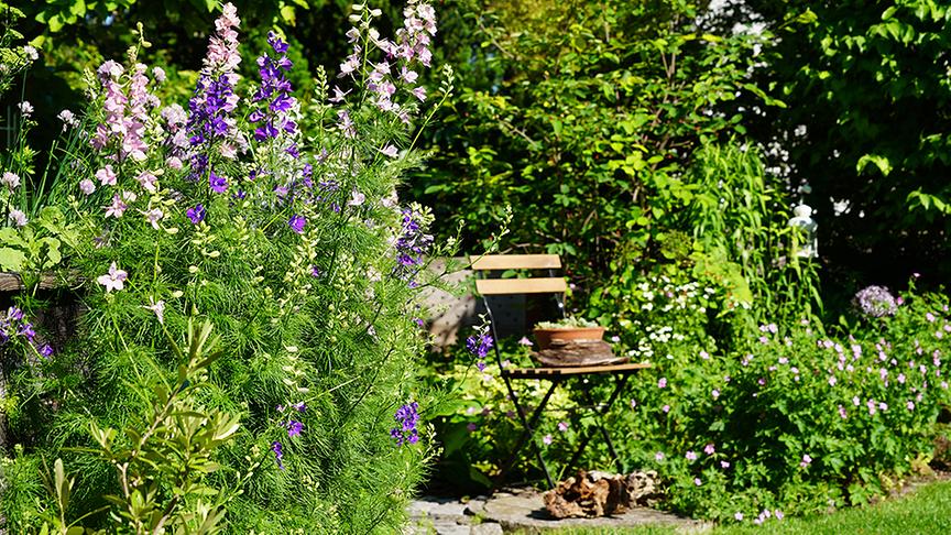Der Gastgarten von Christine Hammerschick in Gumpoldskirchen.