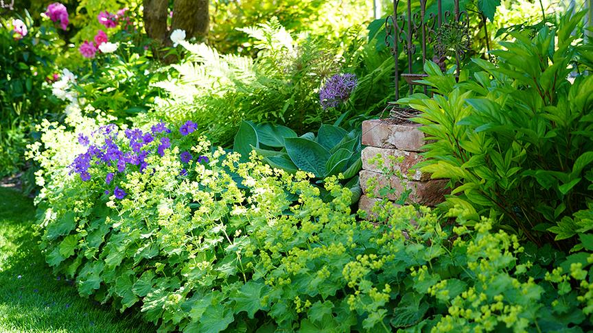 Der Gastgarten von Christine Hammerschick in Gumpoldskirchen.