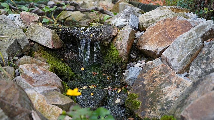 © Foto: Natur im Garten/ Leopold Mayrhofer Im Gartenparadies von Gabriela und Helmut Hirschmüller