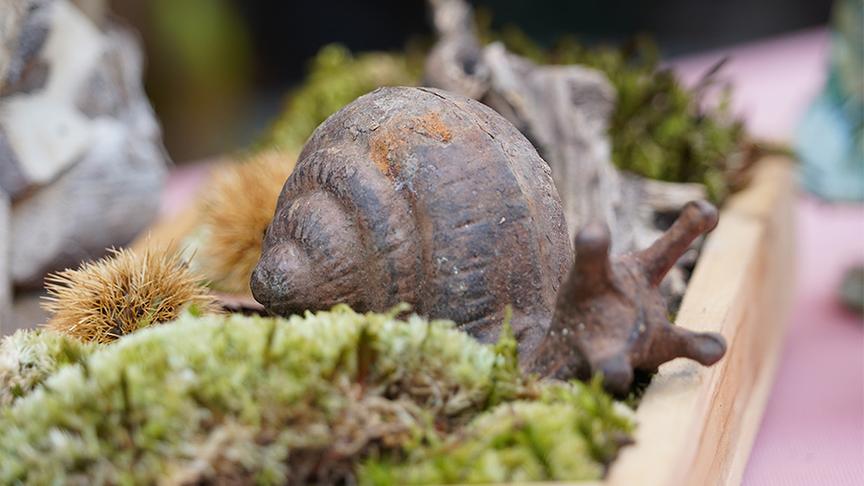 © Foto: Natur im Garten/ Leopold Mayrhofer Im Gartenparadies von Gabriela und Helmut Hirschmüller