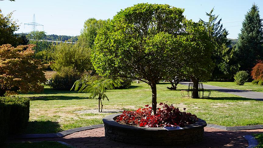 Zu Besuch im Garten von Maria und Willi Hirtenfelder.