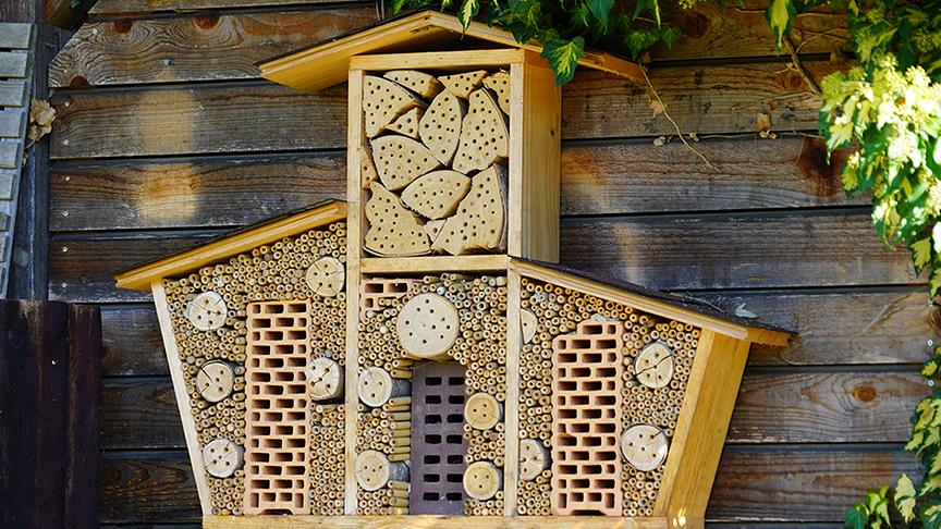 Ein Insektenhotel hängt an einer Holzwand.