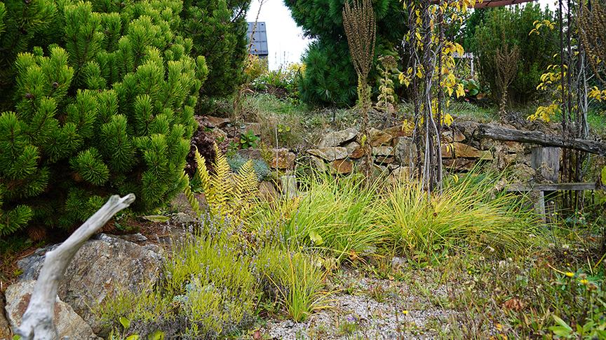 © Foto: Natur im Garten/ Leopold Mayrhofer Im asiatischen Gartenparadies von Bernd Hochwarter