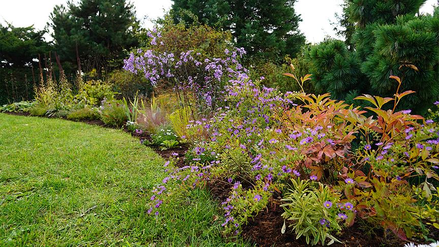 © Foto: Natur im Garten/ Leopold Mayrhofer Im asiatischen Gartenparadies von Bernd Hochwarter