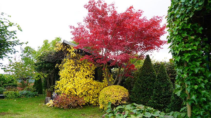 © Foto: Natur im Garten/ Leopold Mayrhofer Im asiatischen Gartenparadies von Bernd Hochwarter