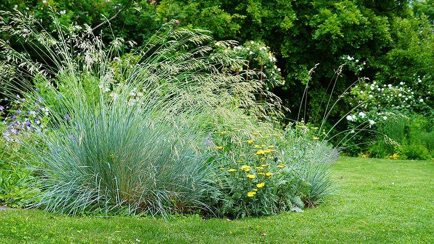 Zu Besuch im Garten von Michaela und Andreas Hofer 