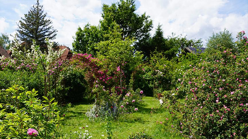 Zu Besuch im Garten von Michaela und Andreas Hofer 