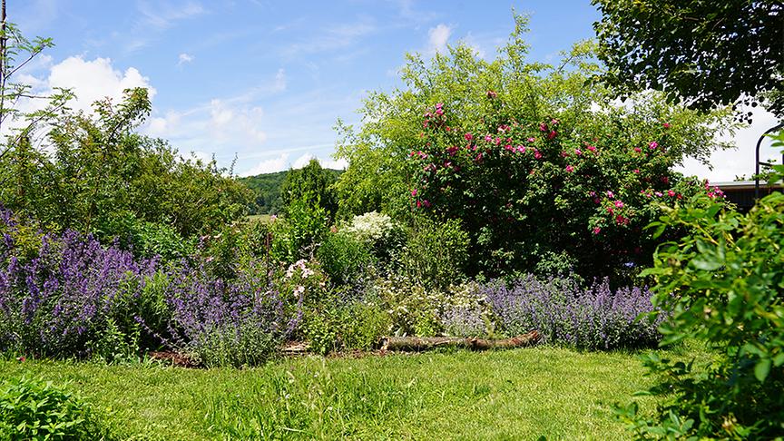 Zu Besuch im Garten von Michaela und Andreas Hofer 