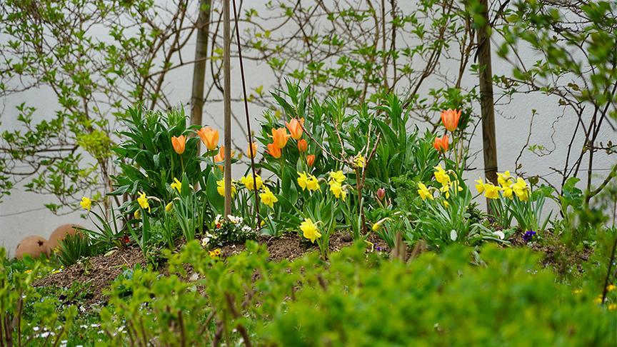 Der naturnahe Selbstversorgergarten von Familie Hopferwieser