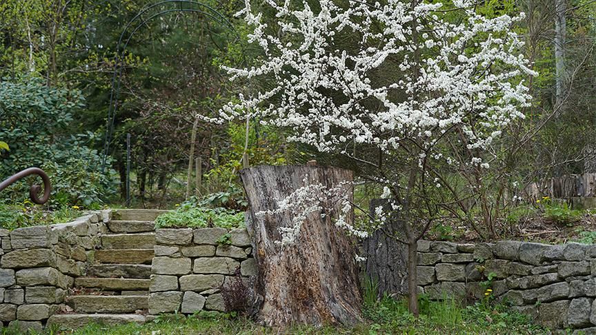 Der naturnahe Selbstversorgergarten von Familie Hopferwieser