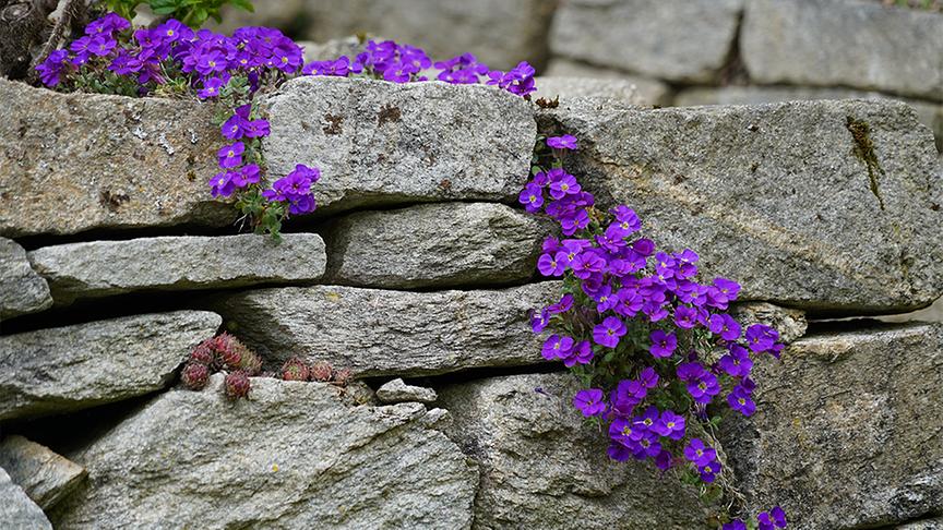 Der naturnahe Selbstversorgergarten von Familie Hopferwieser