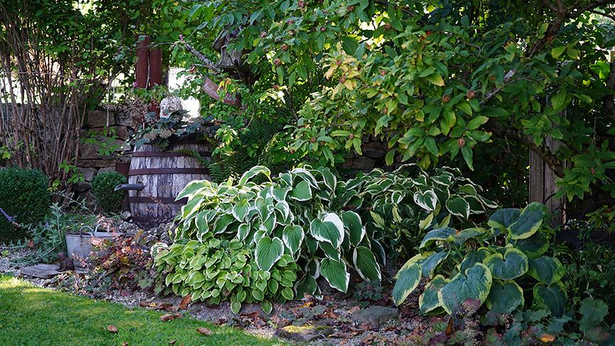 © Natur im Garten/ Leopold Mayrhofer Zu Besuch im Garten von Josef "Igo" Leitner.