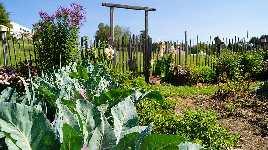 © Natur im Garten/ Leopold Mayrhofer Zu Besuch im Garten von Josef "Igo" Leitner.