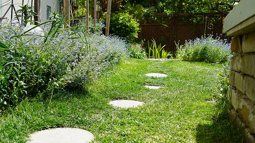 Südlich von Wien, am Rande des Wienerwaldes, liegt der Naturgarten von Elke Tonner-Kempter und Rudolf Kempter.