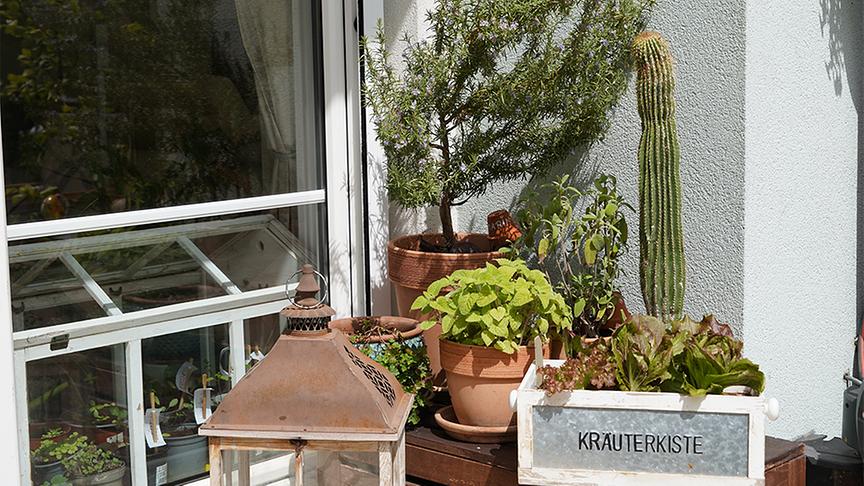 Südlich von Wien, am Rande des Wienerwaldes, liegt der Naturgarten von Elke Tonner-Kempter und Rudolf Kempter.