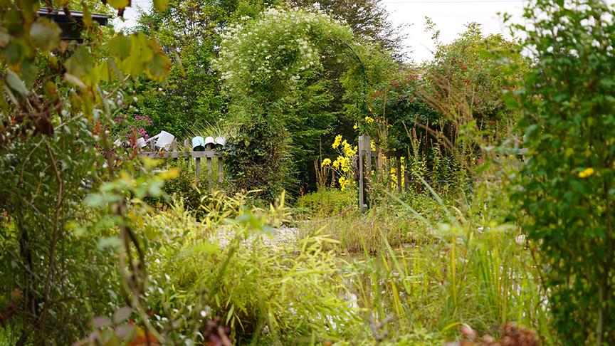 © Foto: Natur im Garten/ Leopold Mayrhofer Zu Besuch im Garten von Elfriede Kirnbauer-Luger