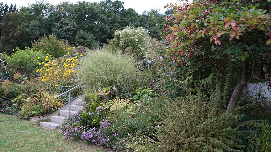 © Foto: Natur im Garten/ Leopold Mayrhofer Zu Besuch im Garten von Elfriede Kirnbauer-Luger