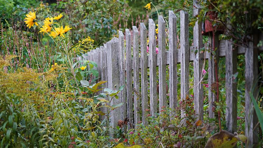 © Foto: Natur im Garten/ Leopold Mayrhofer Zu Besuch im Garten von Elfriede Kirnbauer-Luger
