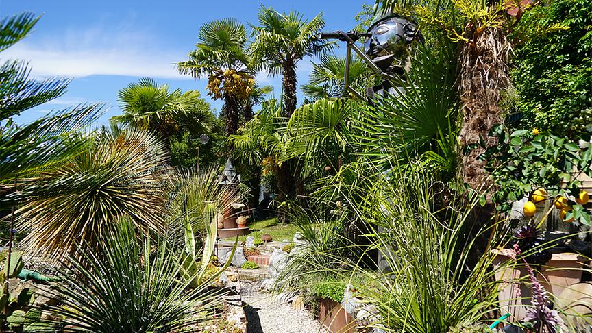 © Natur im Garten/ Leopold Mayrhofer Zu Besuch im palmenbewachsenen Garten von Klaus Gowald.