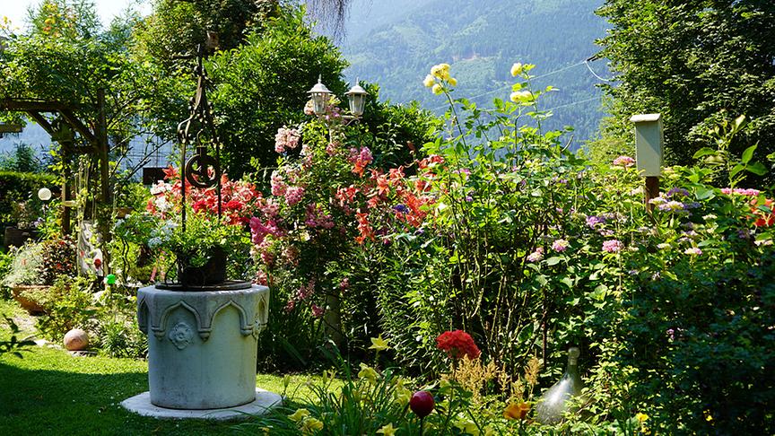 Zu Besuch im Garten von Isabella und Günther Konrad.