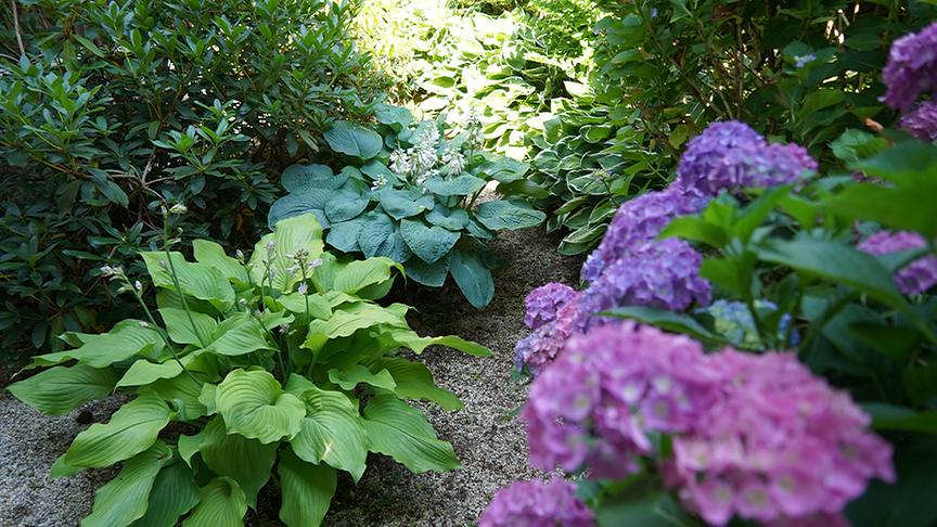 Zu Besuch im Garten von Isabella und Günther Konrad.