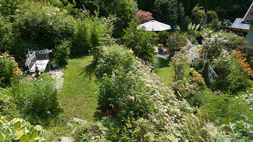 Zu Besuch im Garten von Isabella und Günther Konrad.