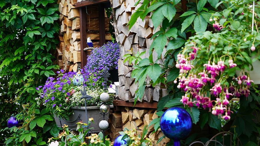 © Natur im Garten/ Leopold Mayrhofer Einblick in den Garten von Elisabeth und Helmut Kreipl-Ruess in Salzburg.