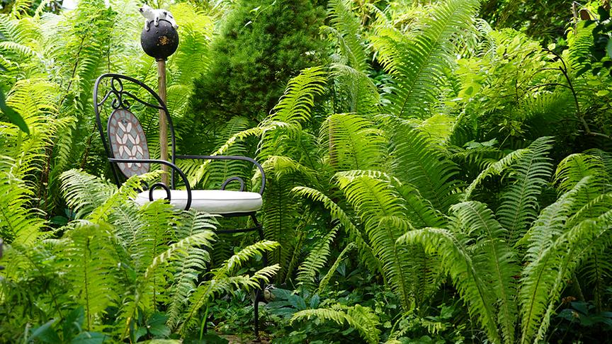 © Natur im Garten/ Leopold Mayrhofer Einblick in den Garten von Elisabeth und Helmut Kreipl-Ruess in Salzburg.