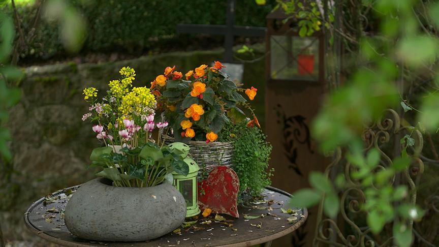 © Talk TV Im Gastgarten von Ingrid Kriechmair