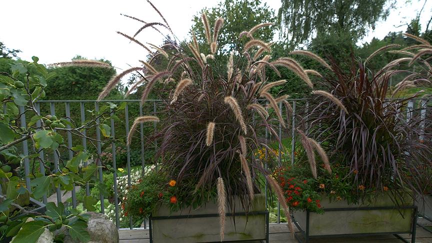 © Talk TV Im Gastgarten von Ingrid Kriechmair