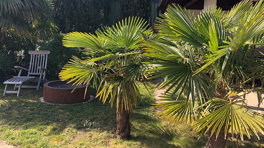 Zu Besuch im Garten von Robert Lackner