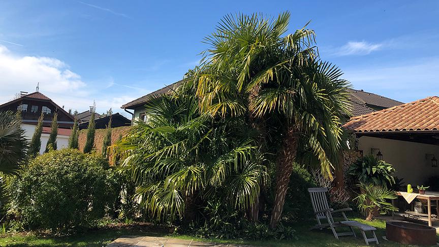 Zu Besuch im Garten von Robert Lackner