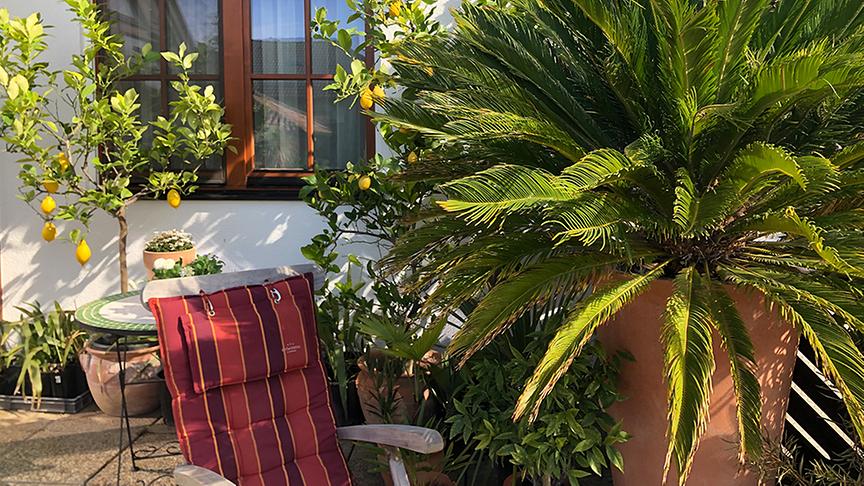 Zu Besuch im Garten von Robert Lackner