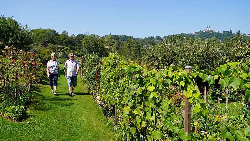 © Natur im Garten/ Leopold Mayrhofer Christine und Josef Dobretzberger zeigen ihren Schrebergarten