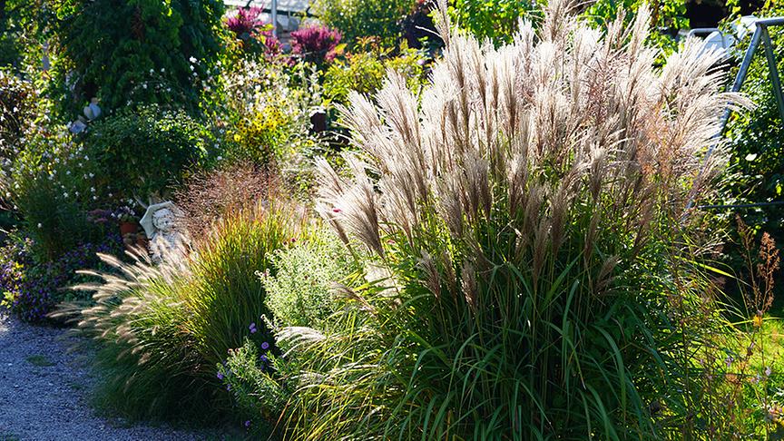 © Natur im Garten/ Leopold Mayrhofer Christine und Josef Dobretzberger zeigen ihren Schrebergarten