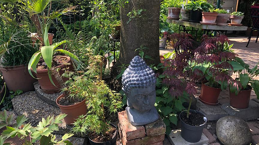 © Natur im Garten/ Leopold Mayrhofer Im Garten von Familien Buchner in Loosdorf