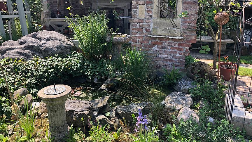 © Natur im Garten/ Leopold Mayrhofer Im Garten von Familien Buchner in Loosdorf