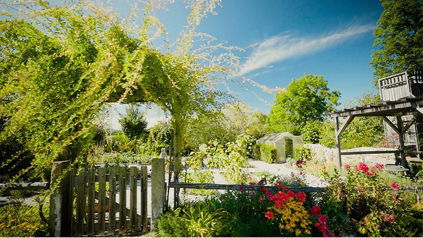 Im großen Garten von Manuela Holzhaider